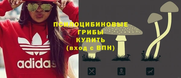spice Куйбышев