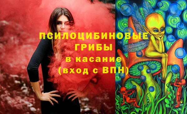 амф Кукмор