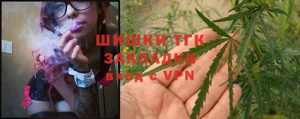 spice Куйбышев