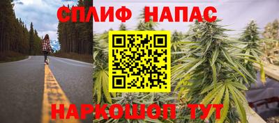 гидропоника Бийск