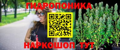 гидропоника Бийск