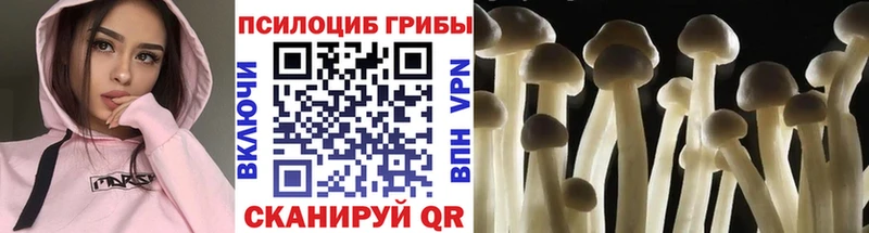 ОМГ ОМГ tor  купить   Домодедово  Галлюциногенные грибы Psilocybine cubensis 
