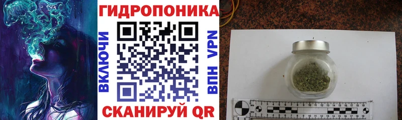 Канабис семена  Домодедово 